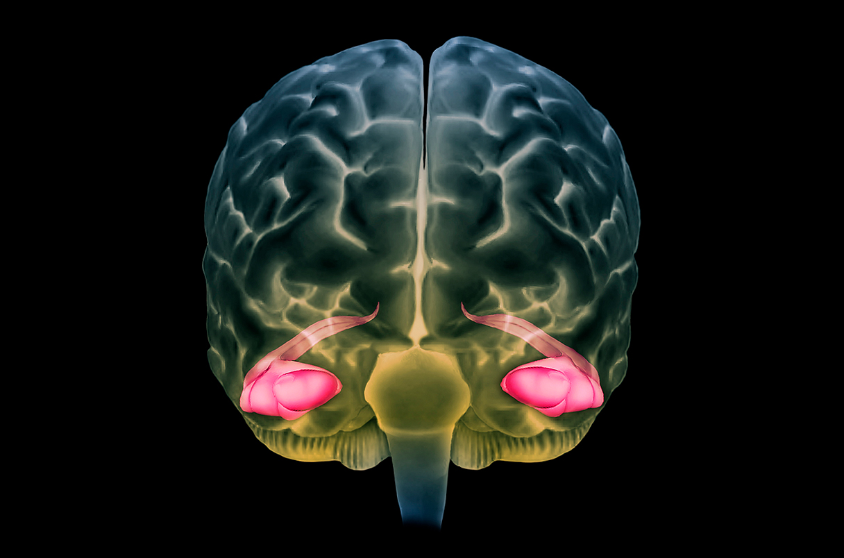 La evidencia genética de que nuestros cerebros crean nuevas neuronas