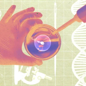 Una empresa emergente afirma haber cultivado esperma humano en un laboratorio y haberlo utilizado para crear embriones.